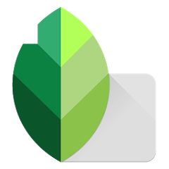 chat gpt logo